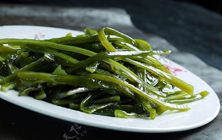 火锅配菜类海白菜图片