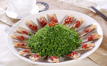 海鲜葱椒蛏子皇图片