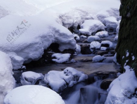 被雪覆盖的小溪图片