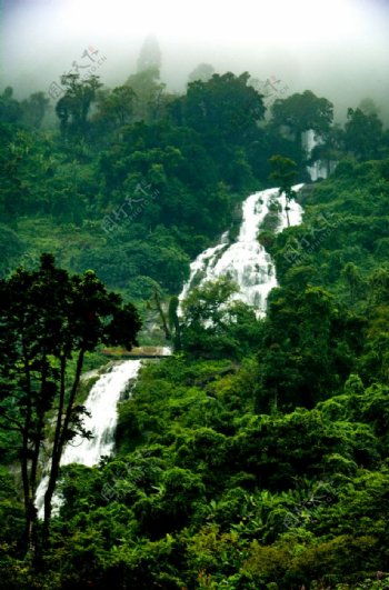 雨林瀑布图片
