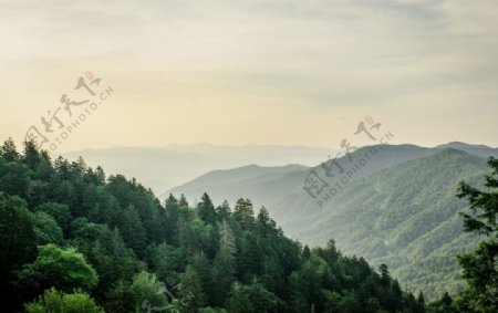 国家公园烟雾弥漫的山脉风景图片