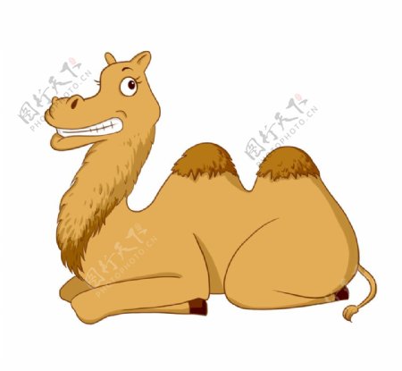 卡通骆驼插画图片