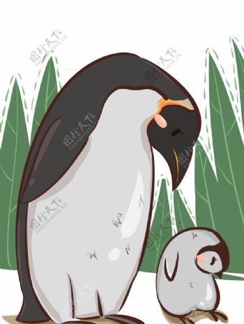 企鹅母子插画图片
