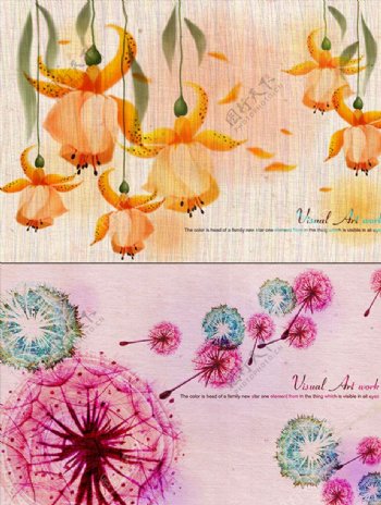 花卉背景花纹图片