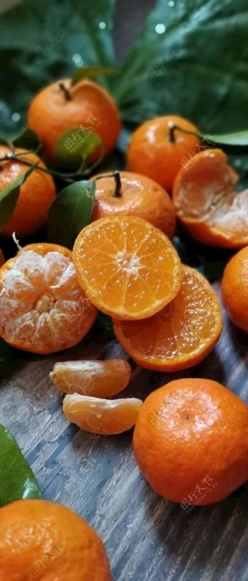 砂糖橘桔子橘子图片