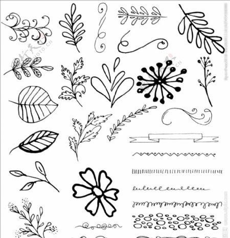 手绘植物背景图片