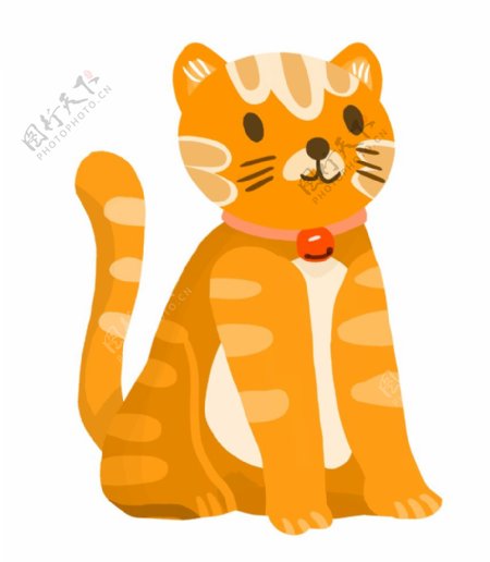 橘色的小猫图片