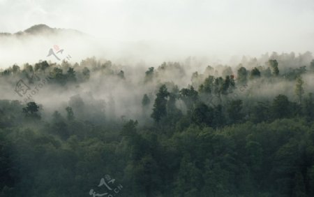 山间云雾图片