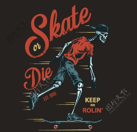 滑板体育运动SKATE图片
